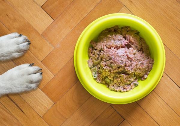 Diätfutter für Hunde selber machen: Eine ausgewogene Ernährung für unseren besten Freund